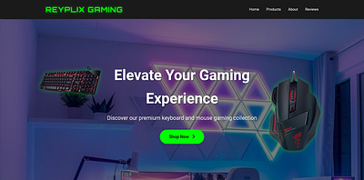 ReyplixGaming: The Ultimate Gaming Gear Landing Page 🏆 css gaming html javascript keyboard landing page mouse