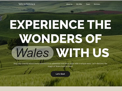 Travel Website | Webflow custom design development entertainment figma green illustration low code mountains travel trip ui uxui wales webflow website