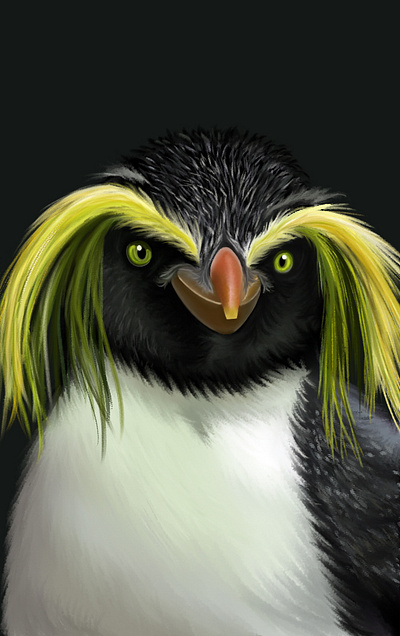 Macaroni Penguin animalillustration bookillustration childrenbook digitalpainting digitalportrait illustrationart webdesign