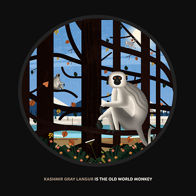 The Himalayan (Kashmir) Gray Langur adobeillustrator animalart artwork charcterdesign childrenart childrenbookcover figmadesign geometricalartwork illustration trending webdesign