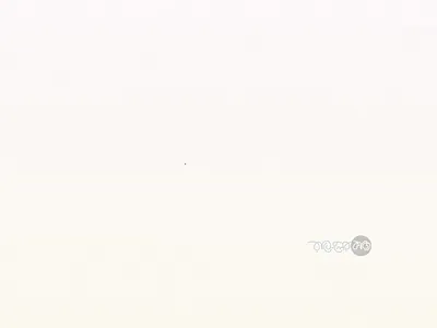 Minimal Paperfly Logo Animation for Fintech business fintech logo animation minimal logo animation modern logo animation new logo animation