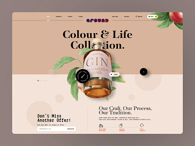 Something from old repo. agency website e commerce shop ui design ui ux web design