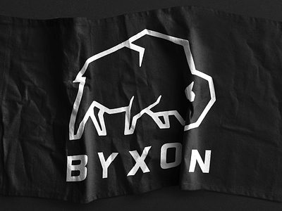 BYXON - Flag vector