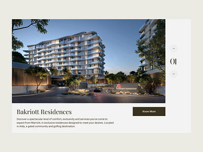 The Veridien Luxury Properties Designs design ui ux uxdesign