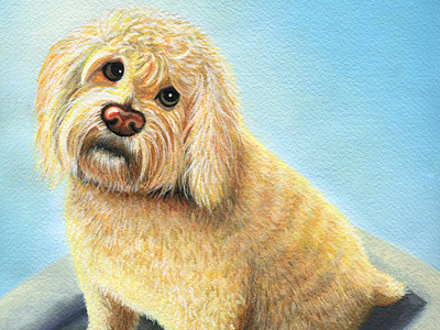 Pet Portrait of Yates | Gouache Illustration animal animals art art print artist artwork commission dog dogs freelance gouache illustration illustrator paint painter painting pet pet portrait wall art watercolor