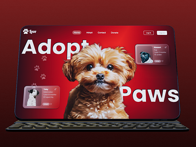 PawLove- Adopt Pet Web Design adoption ui uiux webdesign