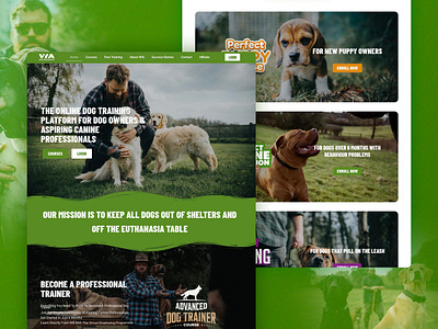 WA Academy Website dog dog training graphic design landing page ui web design website wordpress