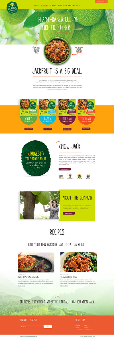 The Jackfruit Company Web Design branding ui ux web content website design