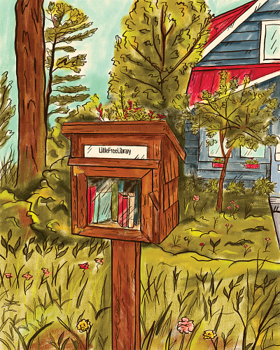 Little Free Library art design drawing illustration illustrator minnesota procreate