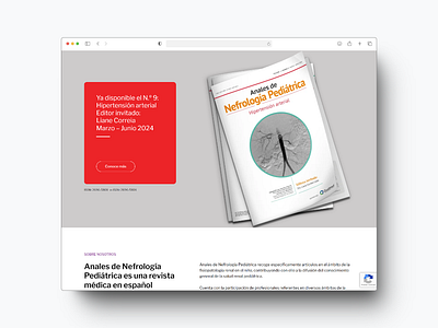Anales de Nefrología Pediátrica - Corporate Website elementor interface desing web web designer website wordpress
