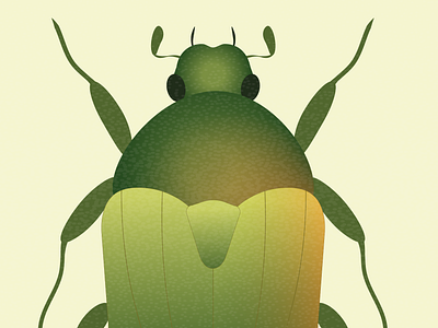 Cetonia aurata / Love Insects adobe illustrator beetle berries bugs cetonia gradient graphic design illustration insects nature rose chafer scarab scarabaeidae