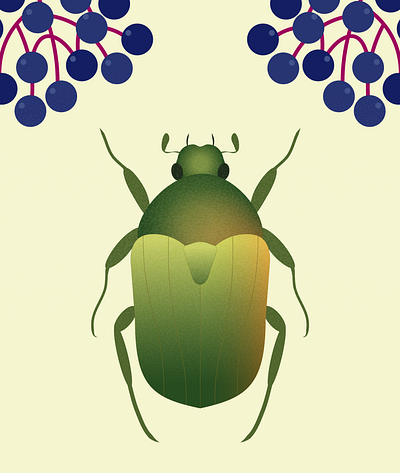 Cetonia aurata / Love Insects adobe illustrator beetle berries bugs cetonia gradient graphic design illustration insects nature rose chafer scarab scarabaeidae