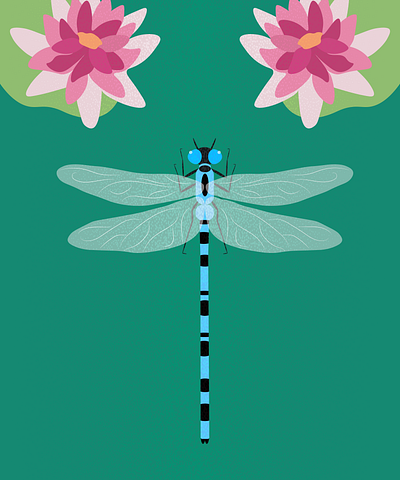 Enallagma / Love Insects adobe illustrator bluets damselflies design enallagma flower graphic design illustration insects vector