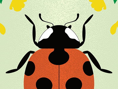 Coccinella / Love Insects adobe illustrator beetles bugs coccinella design fauna flowers graphic design illustration insects ladybird ladybug seven spot symbol