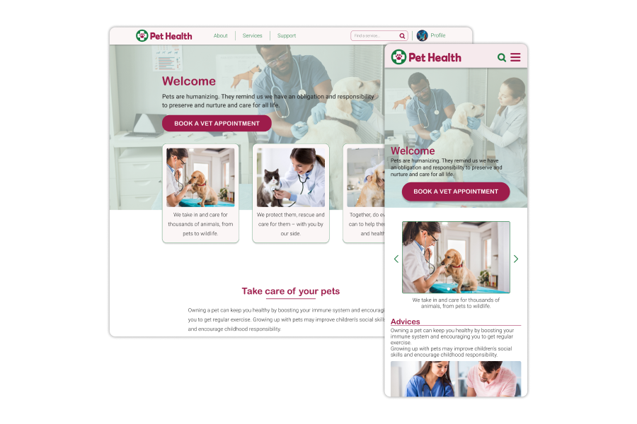 Pet Health UX design google graphic design healthcare pet ui ux design website