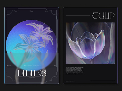 Magic Flowers | Poster Designs ai banner banners creative crystal design figma flowers gradient gradientposter graphicdesign poster posterdesign posters