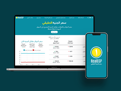 RealEGP - Exchange Rate Tracker ui ux web design