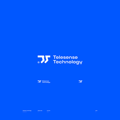 Telesense Technology / logo branding design logo