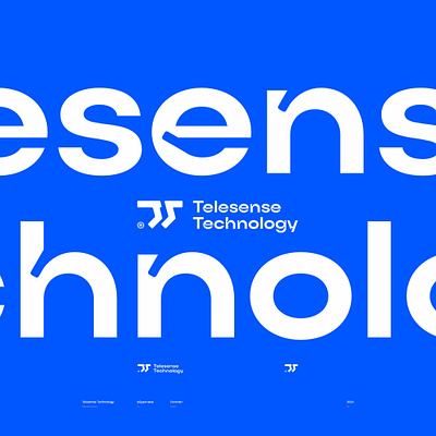 Telesense Technology / logo branding design logo