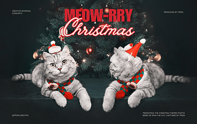 Meowrry Christmas by TRÒN | Photography animal photography cat creative graphic design pet pet photography photography