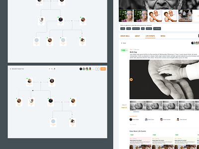 Family tree - Nettgrav app ui uiux ux
