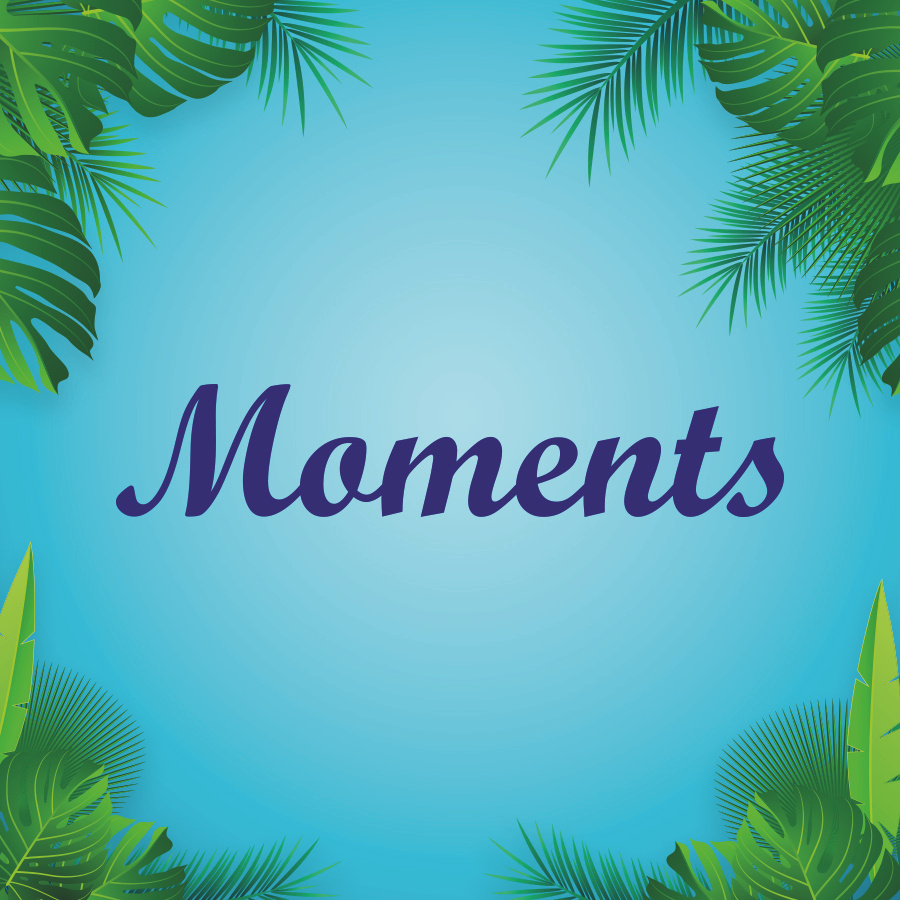 Cool & Cool Social Media Post branding cool cool cool cool social media post graphic design logo motion graphics