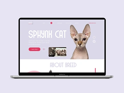 Landing page for the sale of Sphynx kittens animals branding cat cats figma kitten kittens landing landing page sale ui webdesign вебдизайн животные кот котята кошки лендинг продажа фигма