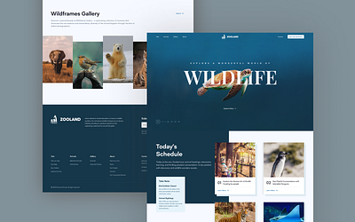 Zooland - Zoo Web Design branding ui uiux web design zoo app zoo website