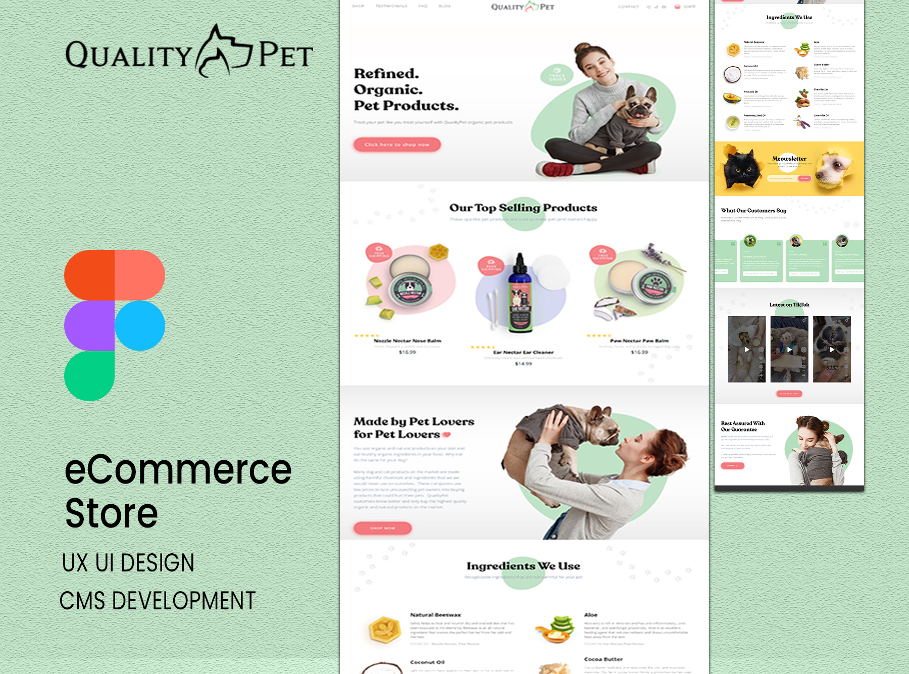 Example of Landing Page Development 