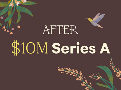 After - Series A saas series a