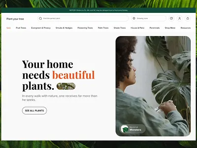 Plantify 🌿 | Shopify Store Redesign buy plants online design ecommerce graden hero home leaf nature plant plant care plat shop redesign shopify store tree ui ux