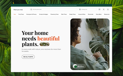 Plantify 🌿 | Shopify Store Redesign buy plants online design ecommerce graden hero home leaf nature plant plant care plat shop redesign shopify store tree ui ux