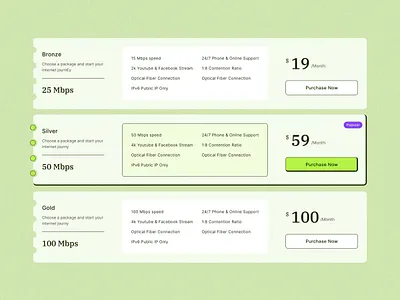 Pricing Plan for ISP aesthetic ui design clean pricing plan design isp pricing plan minimal ui design modern pricing plan modern pricing plan design modern ui design modern ui ux design pricing plan pricing plan isp web ui ux