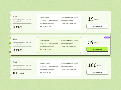 Pricing Plan for ISP aesthetic ui design clean pricing plan design isp pricing plan minimal ui design modern pricing plan modern pricing plan design modern ui design modern ui ux design pricing plan pricing plan isp web ui ux