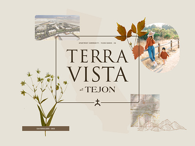 Terra Vista at Tejon Visual Foundations apartment design apartments brand identity branding logo moodboard natural design visual identity western design