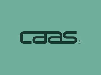 CAAS - IT Company logo design brand identity branding graphic design logo logo design logo dialy logo type logomaker logotype visual identity