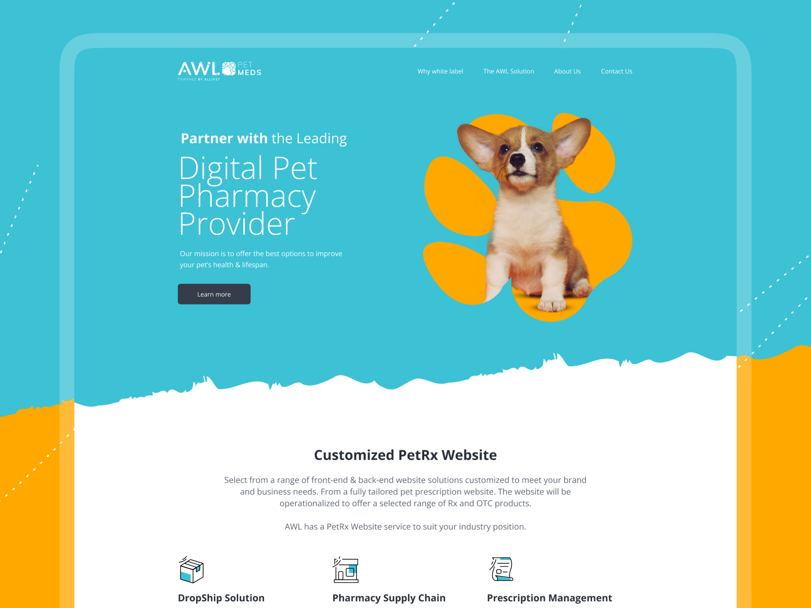Example of Website Or Landing Page Design