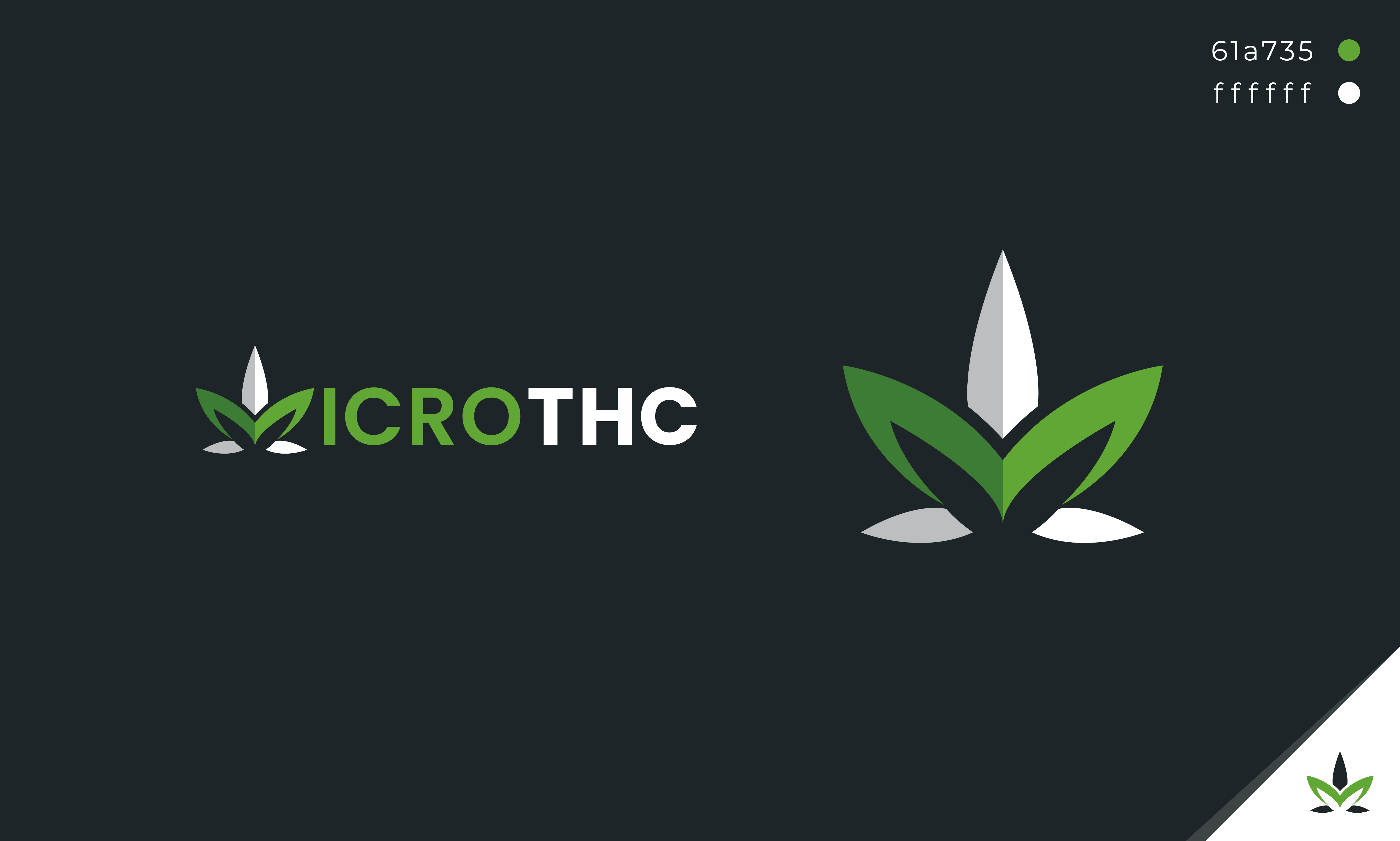 MICROTHC - Logo Design art brand identity branding business logo creative logo custom logo graphic graphic design graphics leaves logo logo design logotype professional logo smoke weed