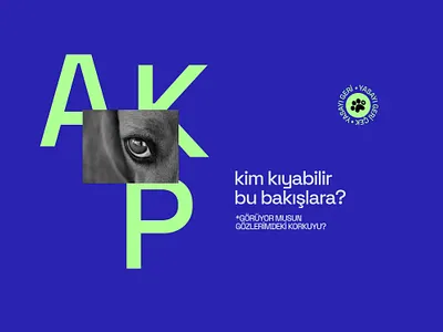 Can dostlarımıza dokunma! dog hayvanhakları köpek merhamet sokakhayvanları sokaktayımyanındayım turkey vicdan yasayıgeriçek