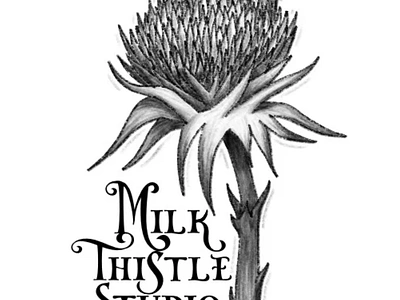 Milk Thistle Studio logo branding logo