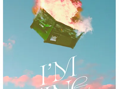 I'm Fine art cartoon design fire graphic design illustration illustrator lettering mental health photography photoshop type typography vintage wall art