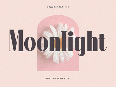 Moonlight - Modern Serif Font 3d animation branding design font graphic design handwritten illustration italic logo logotype motion graphics script typeface ui