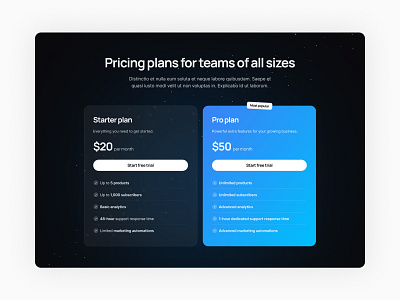 Pricing section for web app design graphic design illustration typography ui ux vector