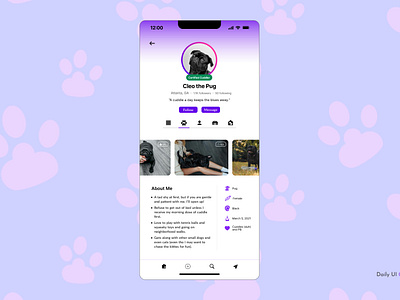 Daily UI Challenge #006 - User Profile daily ui daily ui 6 dog mobile mobile app pet profile social media ui user profile