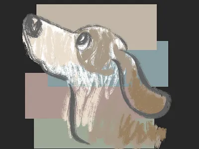 Profile of the hound animal dog hound illustration pet puppy