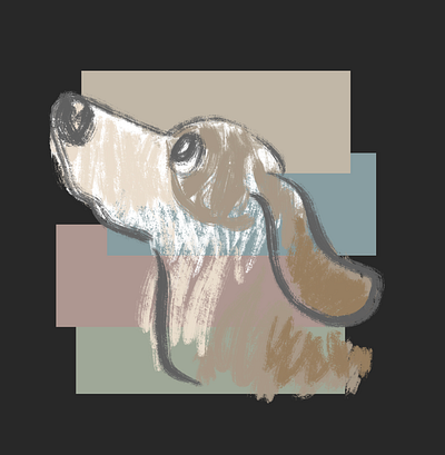 Profile of the hound animal dog hound illustration pet puppy