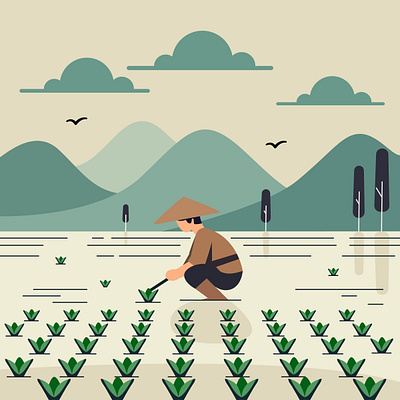 Rice Paddy Planting Illustration flat illustration illustration paddy planting rice rural vector