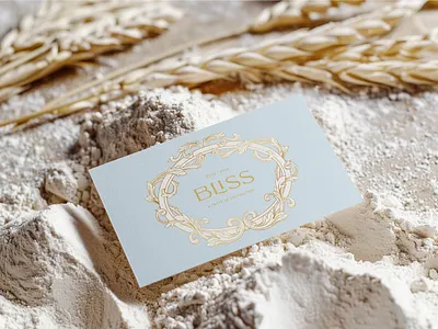 Logo and Style Guide for BLISS graphic design identity logo logo design visual identity