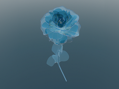 Glass Flower 3d 3danimation 3dartist 3ddesigner animate animation artist blue c4d cinema4d design designstudent flowers glass gradient illustration motion graphics motiondesign organic redshift