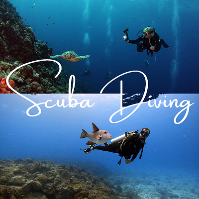 scuba diving two image graphics